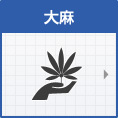 大麻